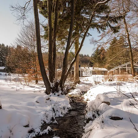 Semesterpark Lichtung Ruhla
