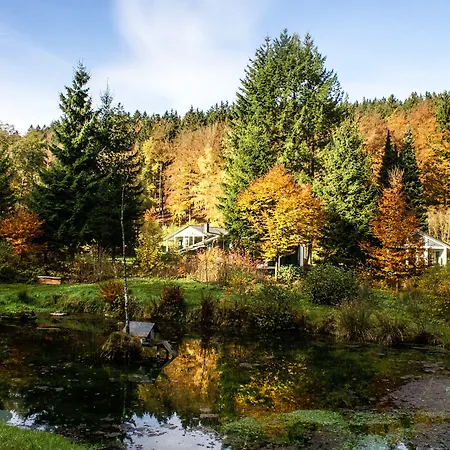 Semesterpark Lichtung Ruhla