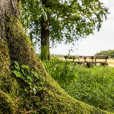 Semesterpark Lichtung Ruhla