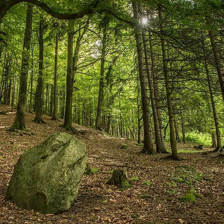 Lichtung Semesterpark 3*