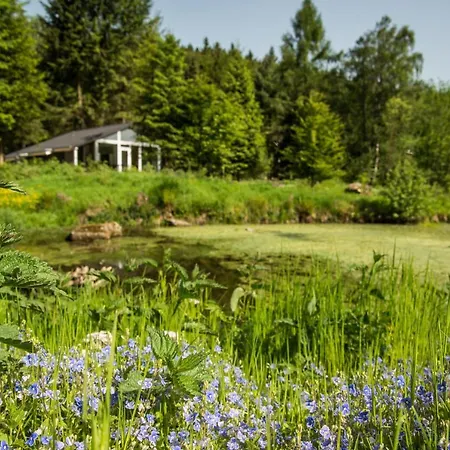 Lichtung Semesterpark