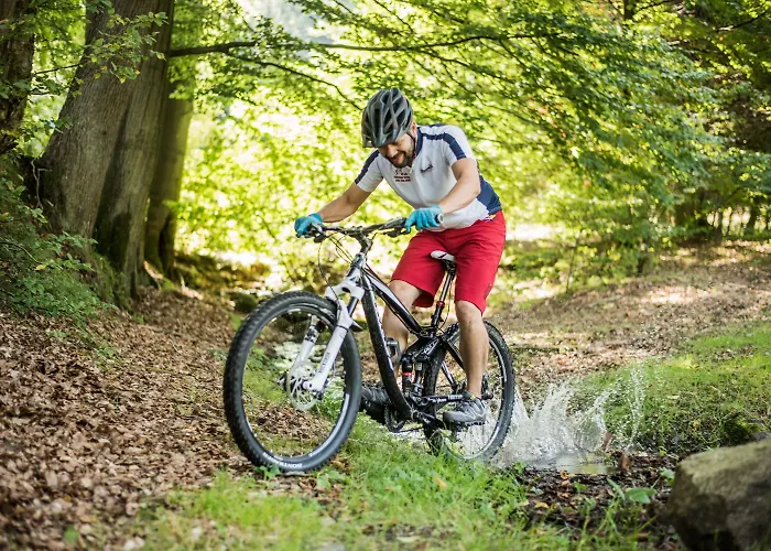 Lichtung Ferienpark Ruhla