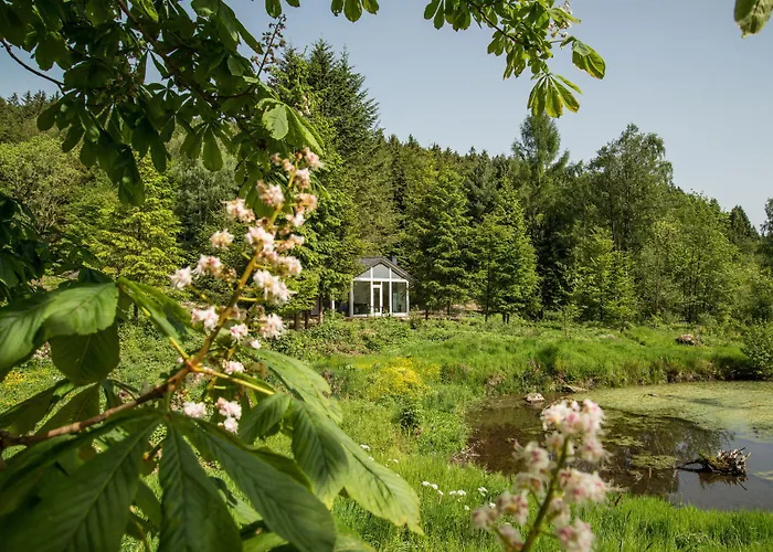 Lichtung Ferienpark 3*