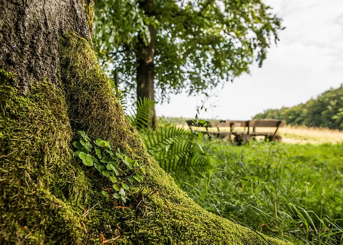 Ferienpark Lichtung Ruhla