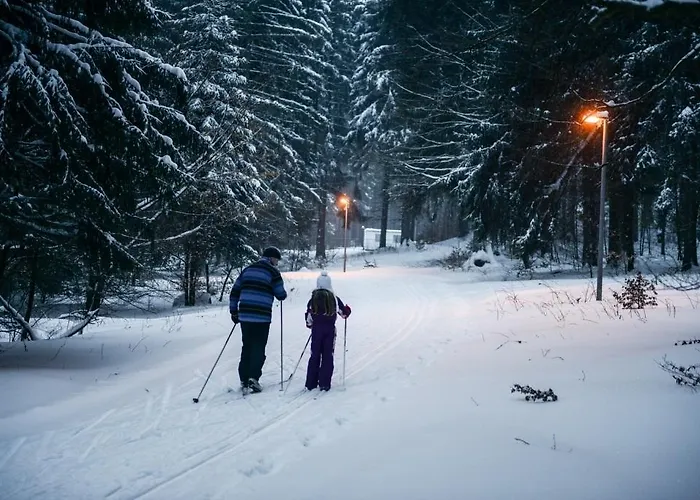 Ferienpark Lichtung 3*