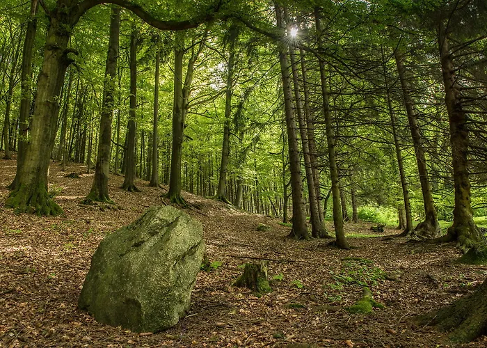 Lichtung Parco vacanze 3*