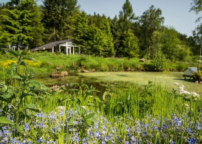 Lichtung Parco vacanze