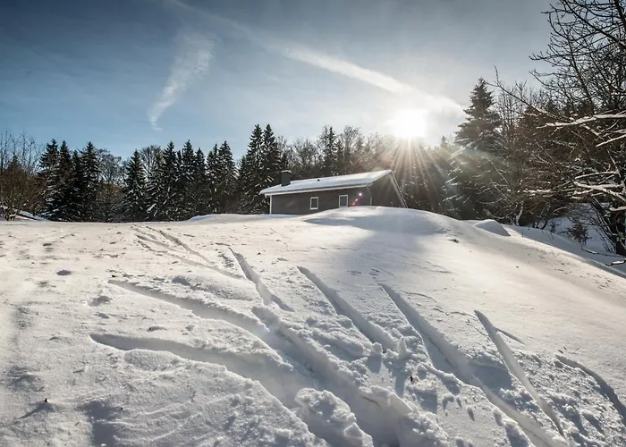 Lichtung Ferienpark Ruhla