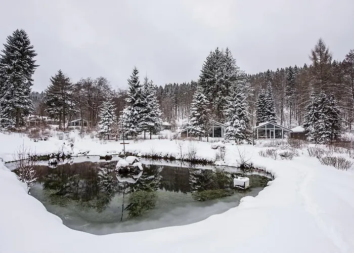 Ferienpark Lichtung 3*